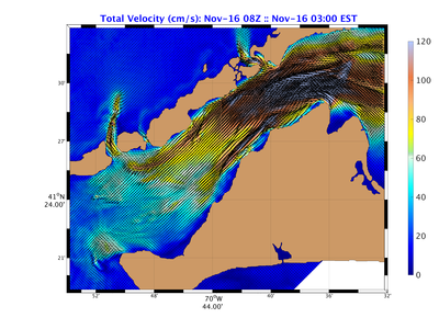 Buzz02_pe_vtot_surf_20161116_0800Z.png