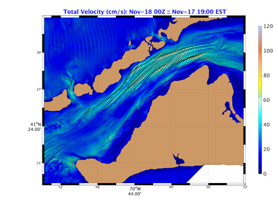Buzz02_pe_vtot_surf_20161118_0000Z.png