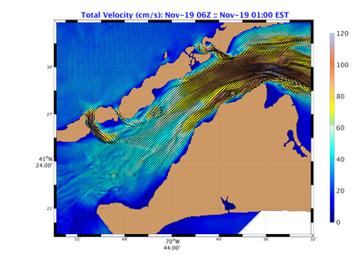 Buzz02_pe_vtot_surf_20161119_0600Z.png