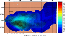 wstr_20190226_0000.gif