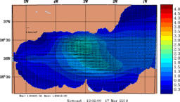 wstr_20190317_1200.gif