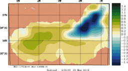 emp_20190323_0000.gif
