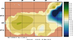 emp_20190323_0000.gif