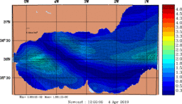 wstr_20190404_1200.gif