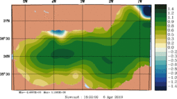 emp_20190406_1800.gif