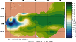 emp_20190406_1200.gif
