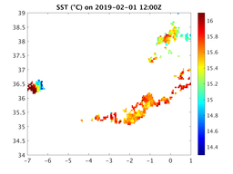 sst_20190201_1200Z.png