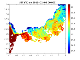 sst_20190203_0000Z.png