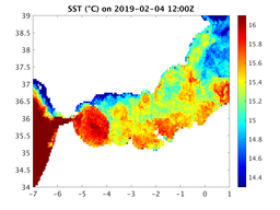 sst_20190204_1200Z.png