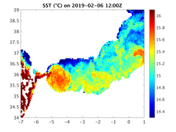 sst_20190206_1200Z.png