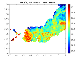 sst_20190207_0000Z.png