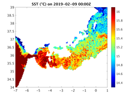 sst_20190209_0000Z.png