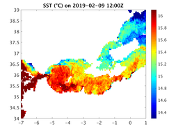 sst_20190209_1200Z.png