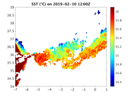 sst_20190210_1200Z.png