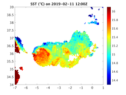 sst_20190211_1200Z.png