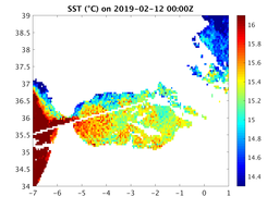 sst_20190212_0000Z.png