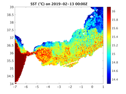 sst_20190213_0000Z.png