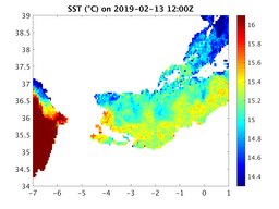sst_20190213_1200Z.png