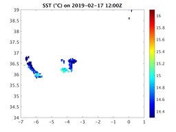 sst_20190217_1200Z.png
