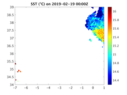 sst_20190219_0000Z.png