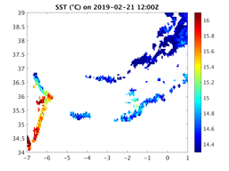 sst_20190221_1200Z.png