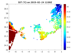 sst_20190224_1200Z.png