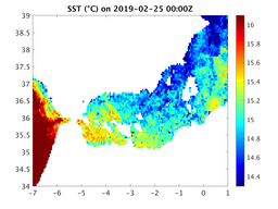 sst_20190225_0000Z.png