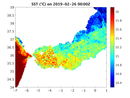 sst_20190226_0000Z.png