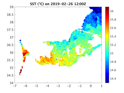 sst_20190226_1200Z.png
