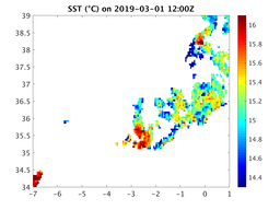 sst_20190301_1200Z.png