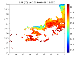 sst_20190406_1200Z.png