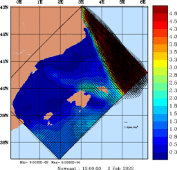 wstr_20220202_1200.gif