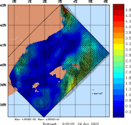 wstr_20220624_0000.gif
