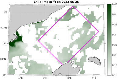Chl_20220626.png