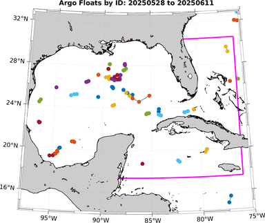 20250528_20250611_argo_id_loc.png