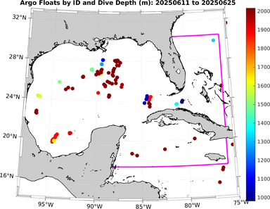 20250611_20250625_argo_id_loc_depth.png