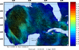 wstr_20250404_1200.gif