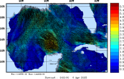 wstr_20250406_0000.gif