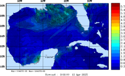 wstr_20250412_0000.gif