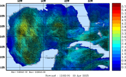 wstr_20250419_1200.gif