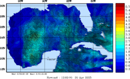 wstr_20250420_1200.gif