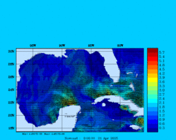 wstr_20250421_0000.gif