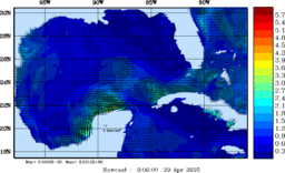 wstr_20250429_0000.gif