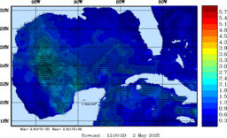 wstr_20250502_1200.gif