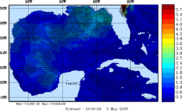 wstr_20250505_1200.gif