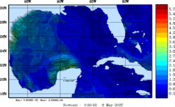 wstr_20250506_0000.gif