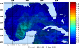 wstr_20250508_1200.gif