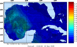 wstr_20250519_1200.gif