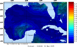 wstr_20250531_0600.gif