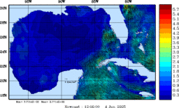 wstr_20250604_1200.gif